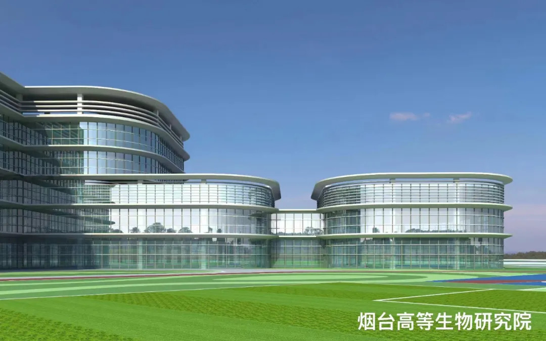 大跨度 高精度 超節能|鳳鋁助力菸台城市更新,展登州新貌